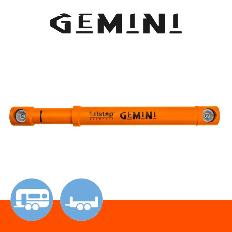 thumb-gemini